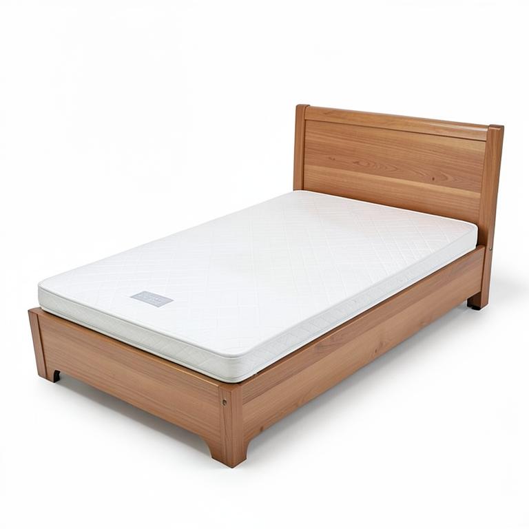 Three-Function Home Care Bed